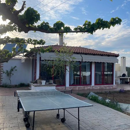 Country Lux Apartment Near Airport Markópoulon Екстериор снимка