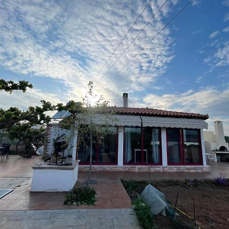 Country Lux Apartment Near Airport Markópoulon Екстериор снимка