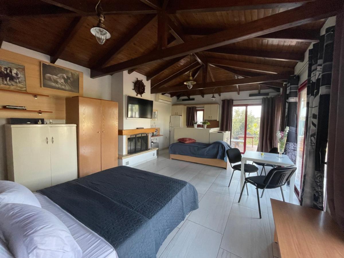 Country Lux Apartment Near Airport Markópoulon Екстериор снимка
