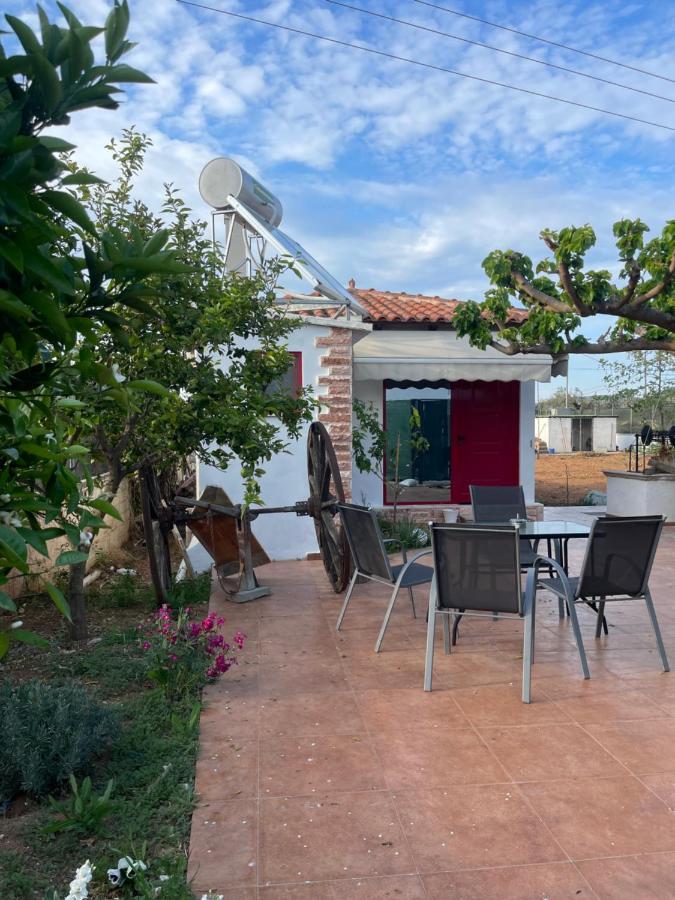Country Lux Apartment Near Airport Markópoulon Екстериор снимка