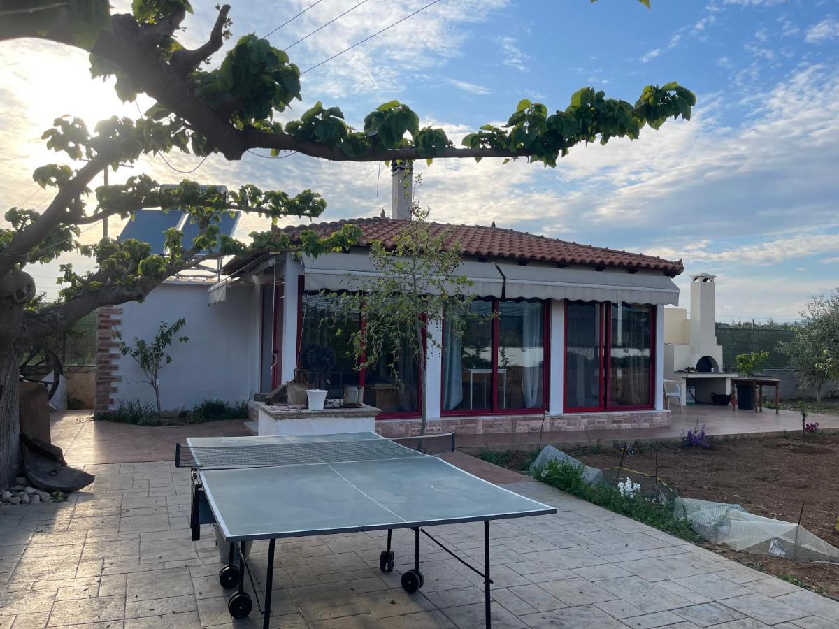 Country Lux Apartment Near Airport Markópoulon Екстериор снимка
