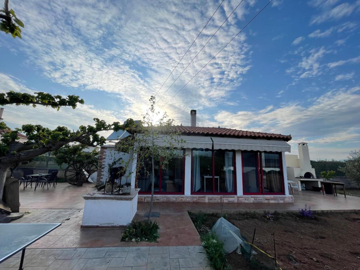 Country Lux Apartment Near Airport Markópoulon Екстериор снимка