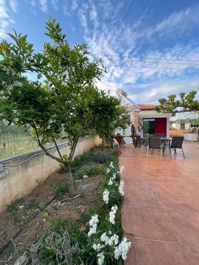 Country Lux Apartment Near Airport Markópoulon Екстериор снимка